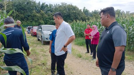 Lawatan kerja KPE PERTAM YBrs. Akmal bin Abdul Manap ke ladang jagong PERTAM