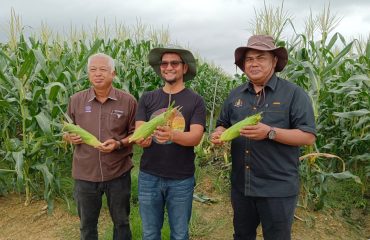 Menyambut kedatangan Pengerusi Lembaga Nenas Malaysia